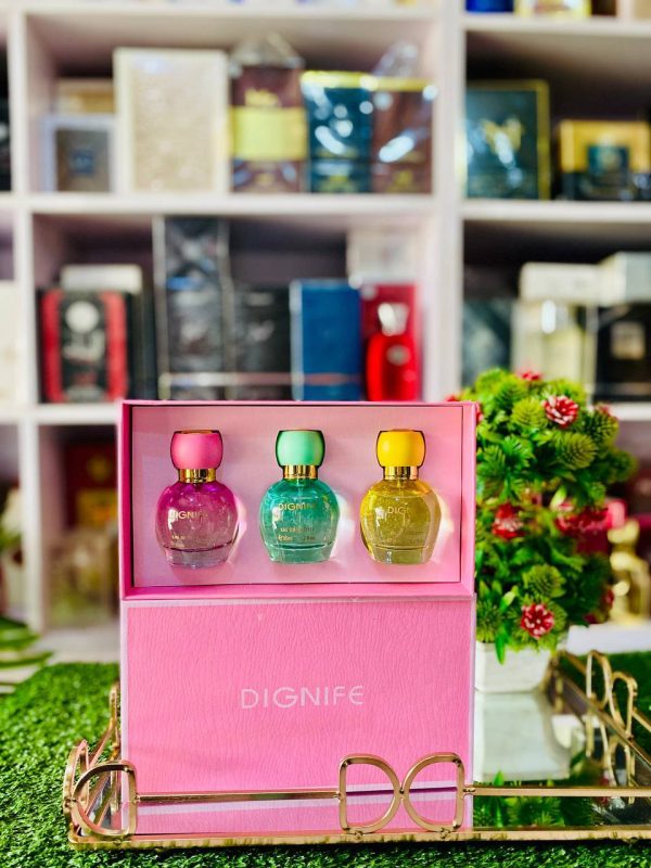 3 in 1 female gift set