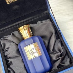 Paradox Blue